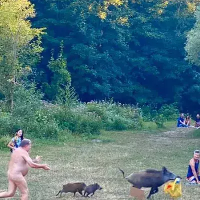 Nackter Mann verfolgt Wildschwein, das seine Sachen gestohlen hat