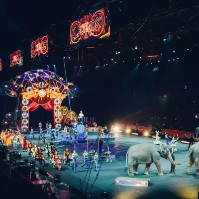 Russland: Bär greift schwangere Dompteurin an