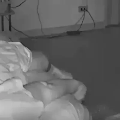Schlange am Bett