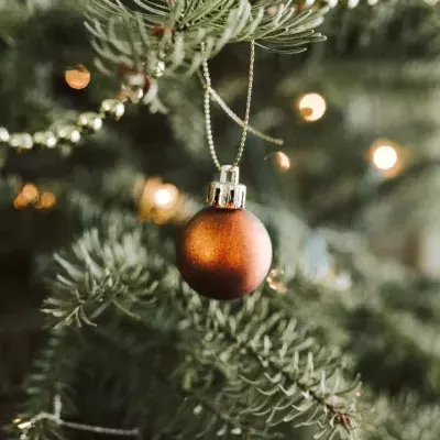 Weihnachtsbaum
