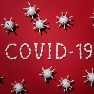 Zero-Covid-Strategie