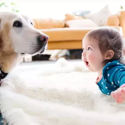 Symbolbild: Hund belohnt Baby