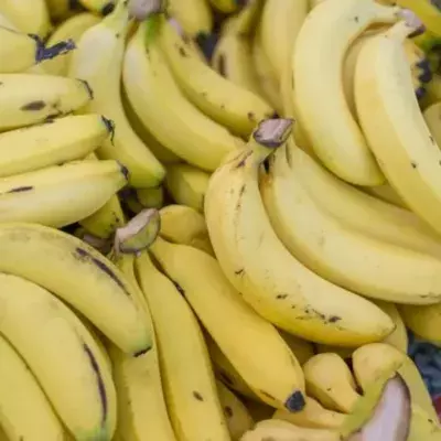 Bananen richtig lagern: Wie werden sie nicht so schnell braun?
