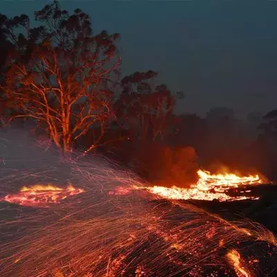 Buschbrände in Moruya, Australien