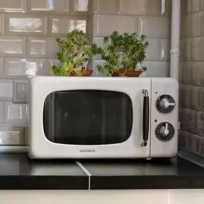 Darum solltest du deine Mikrowelle regelmäßig reinigen