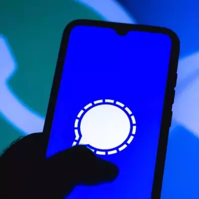Das Signal-Logo ist auf einem Handy-Bildschirm abgebildet, mit dem Whatsapp und Telegram-Logo im Hintergrund