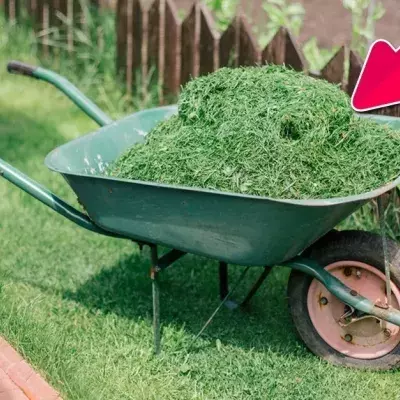 So bekämpfst Du Unkraut auf ganz natürliche Weise