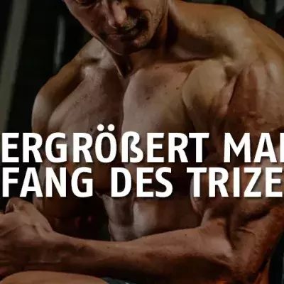 Bester Tipp für einen großen Trizeps