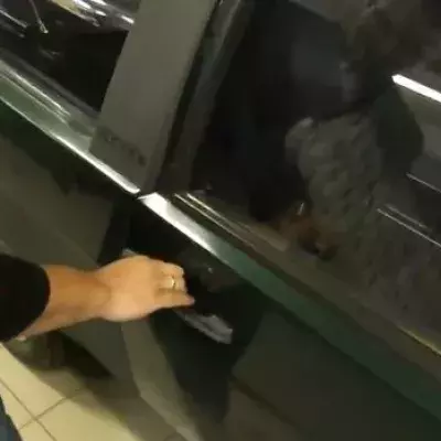 Wie öffnet man sein Auto, wenn man die Schlüssel vergessen hat?