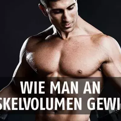 Ein wertvoller Tipp für den Muskelaufbau