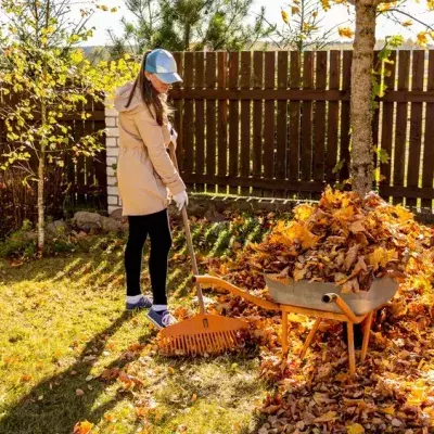 Gartenarbeit im Herbst: Laub, Äste und mehr richtig entsorgen