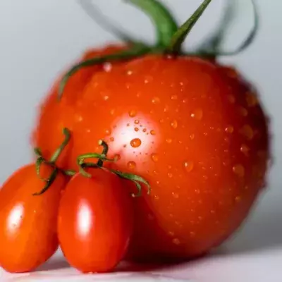 Drei Tomaten auf einem weißen Untergrund