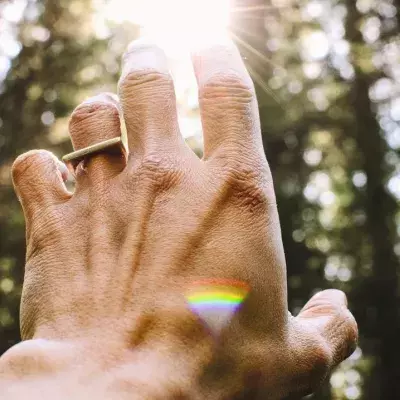 Eine Hand greift in das Sonnenlicht in einem Wald