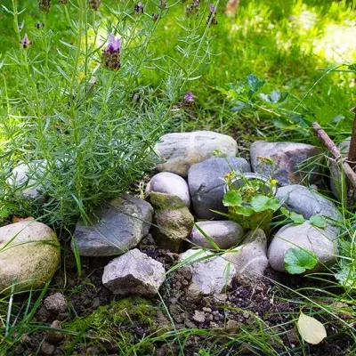 Haustier im Garten begraben
