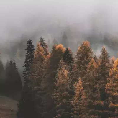 Herbst, Temperaturen, Kalt, Wetter, Ungemütlich