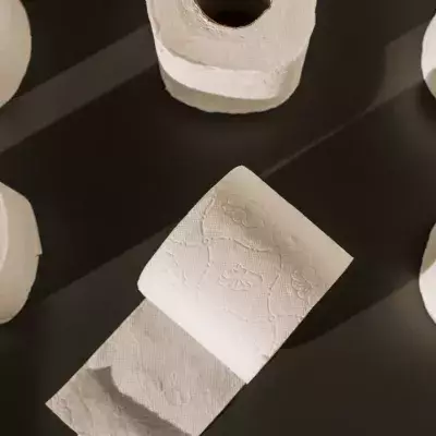 Life-Hack, TikTok-Trend, Klopapier, Kühlschrank
