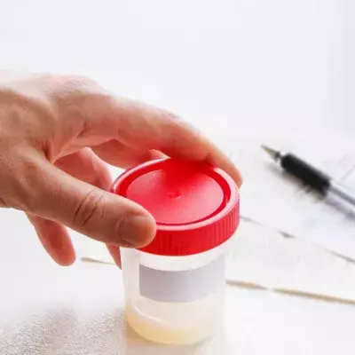 Mit diesem Lebensmittel verbesserst du deine Spermaqualität