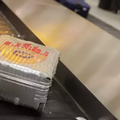 Mit diesen Tipps geht dein Gepäck nicht so einfach verloren 