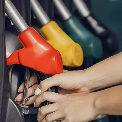 Sind Raps- und Heizöl eine Alternative zu Diesel?
