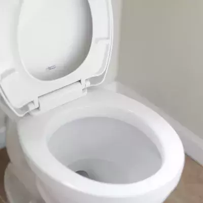 Unerwartete Kreaturen in der Toilette