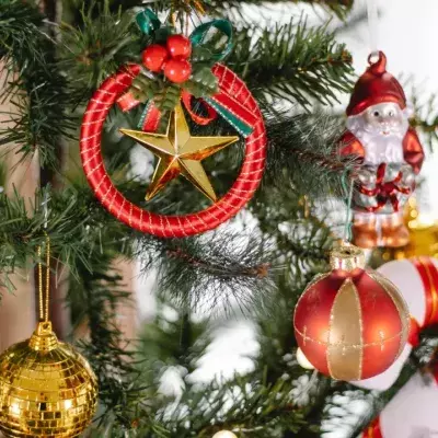 Weihnachten,Tannenbaum,Weihnachtsbaum,Preis,Geld,teuer,Christbaum,teurer