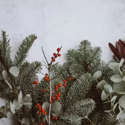 Wie Weihnachtsmüll recyceln?