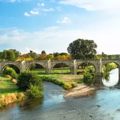 Von dieser Brücke stürzen die Hunde in den Tod