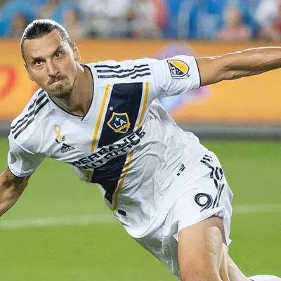 Zlatan Ibrahimovic wird die USA wahrscheinlich verlassen