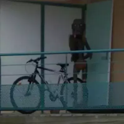 Außerirdischer von Google auf Balkon gesichtet. Jetzt spricht der Hausbesitzer!