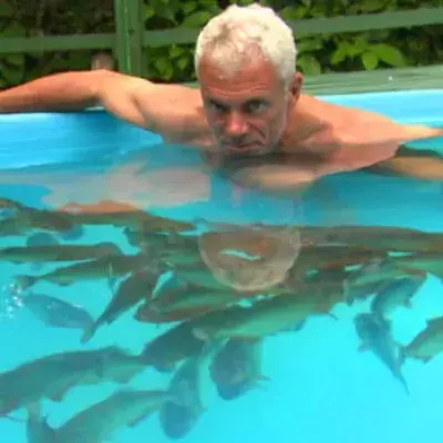 Mann setzt sich in einen Pool voller Piranhas