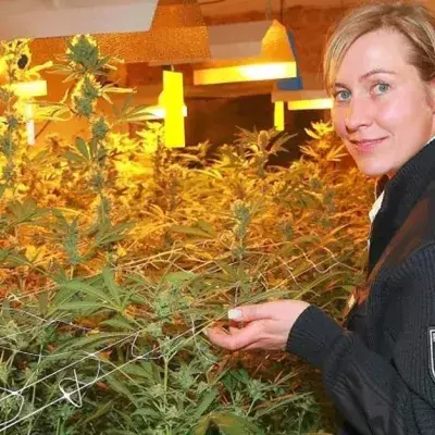 Polizei fordert Cannabis-Legalisierung