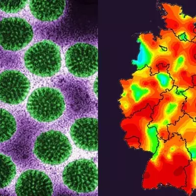 Hochansteckender Virus in Deutschland auf dem Vormarsch