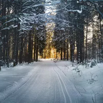 Der Winter kehrt zurück: Temperaturabfall bringt Schnee statt Regen