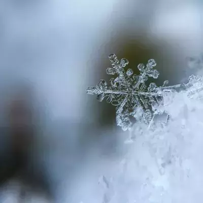 Februar, Wetter, Winter, warm