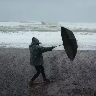 Kachelmann über Wetter in dieser Woche: "Freitag ist dann überall Ententeich"