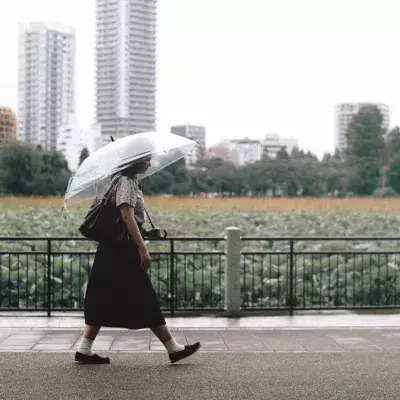 Regen, Wetter, Herbst, Temperatursturz, ungemütlich