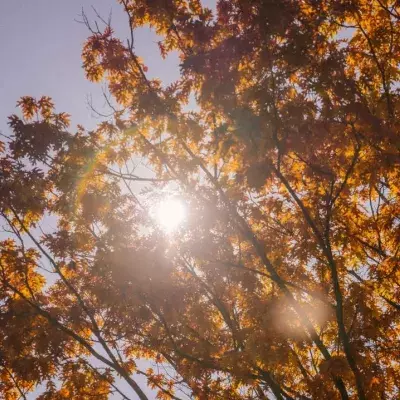 Sommerwetter im Herbst: Bekommen wir einen goldenen Oktober?
