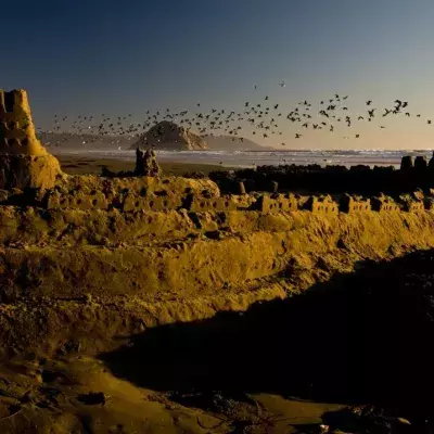 Vögel fliegen über einer Sandburg 