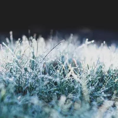 Bodenfrost