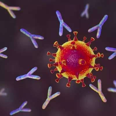Covid-19: "Übermenschliche" Immunität bei einigen Patienten