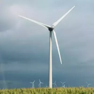 Trump: China verkauft Windräder an "Dumme drüben in Europa"
