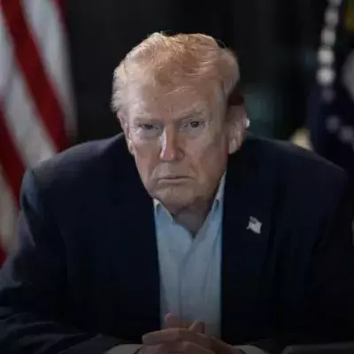 „eine Handgranate auf die US-Wirtschaft“: Wie der Wirtschaftsnobelpreisträger Donald Trumps Kurs sieht