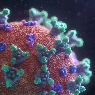 Kommt das Coronavirus aus dem Labor oder vom Markt in Wuhan?