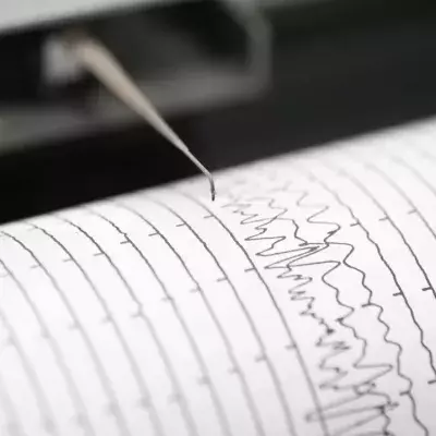 Nahaufnahme eines Seismometer-Drucks