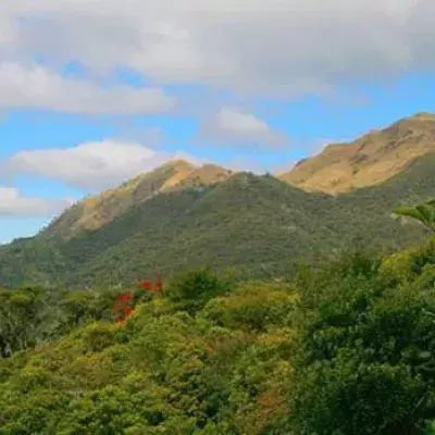 Lucon: Diese philippinische Insel beheimatet über 50 einmalige Arten