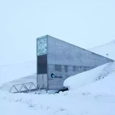Wohin sollte man bei einer Apokalypse fliehen?