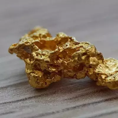 Bakterium kann Metall in Gold verwandeln