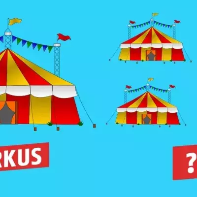 Plural-Quiz: Kennst du die Mehrzahl von diesen Worten?