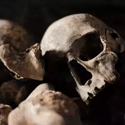 1.000 Jahre altes Mädchenskelett offenbart finstere Details über das Leben im Mittelalter