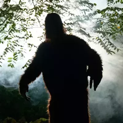 Bigfoot erscheint wieder auf der Bildoberfläche